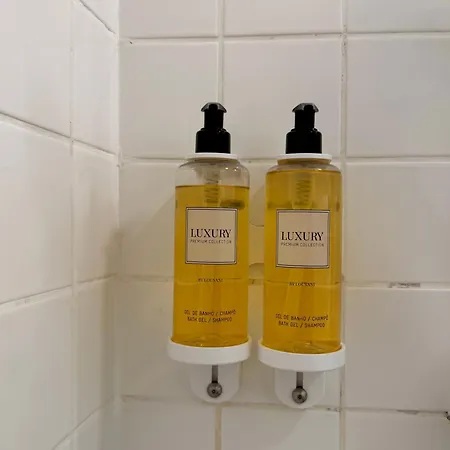 Apartment Metropolitan Living - Janelas Verdes Lisbon