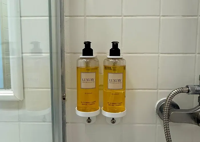 Metropolitan Living - Janelas Verdes Apartment